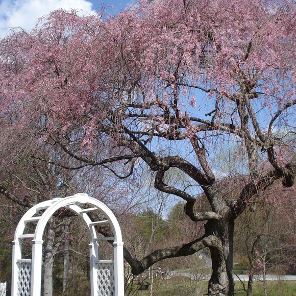 Meet your Posher, Barbara - Picture 1 of 1